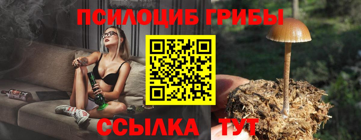 Псилоцибиновые грибы GOLDEN TEACHER Лесозаводск